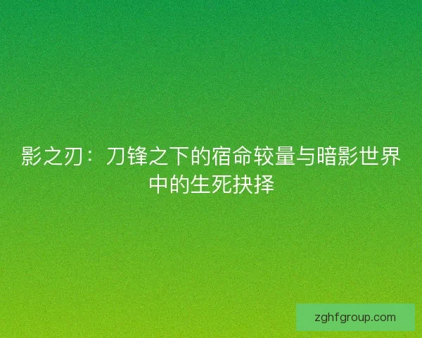 影之刃：刀锋之下的宿命较量与暗影世界中的生死抉择